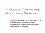 Chromosomes, Alleles, Genes, Mutations