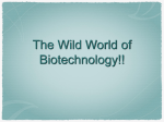 The Wild World of Biotechnology!! Applications Genetic