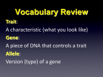 (B) is dominant to brown coats (b)