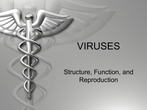 Virus - District 128 Moodle
