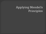 Applying Mendel`s Principles Power Point