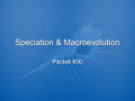 Speciation & Macroevolution