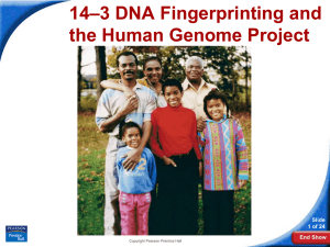 14–3 Human Molecular Genetics