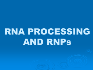 RNA PROCESSING AND RNPs