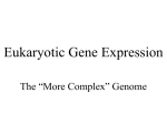 Eukaryotic Genome and its Expression Chapter 14