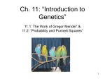 Ch. 11: “Introduction to Genetics”