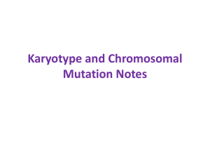 Chromosomal Mutation