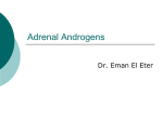 12Adrenal_Androgens2013-02