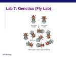 AP_Lab_review_7