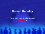 Studying human heredity