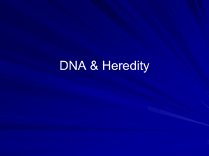 DNA & Heredity