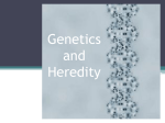 Genetics and Heredity