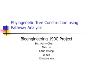 Phylogenetic Tree Construction using Pathway Analysis