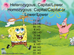 Heterozygous: Capital/Lower Homozygous: Capital/Capital or Lower