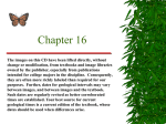 Chapter 16 Image PowerPoint