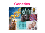 Genetics - TeacherWeb