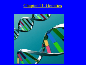 Chapter 9: Introduction to Genetics
