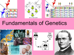 Fundamentals of Genetics