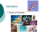 Genetics - My CCSD