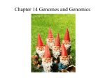 Chapter 14 - Genomes and genomics