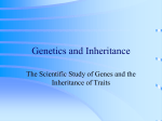 Genetics and Inheritance - Parma City School District