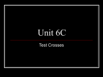 Unit 6C - NC Biology Resources