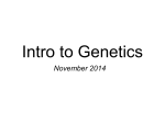 Intro to Genetics