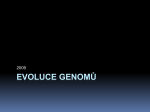 Evoluce genomů