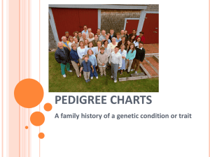 pedigree charts - 7sciencewithmcmillan