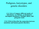 pedigrees and disorders