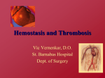 Normal Hemostasis