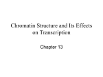 Chromatin Structure and Its Effects on Transcription