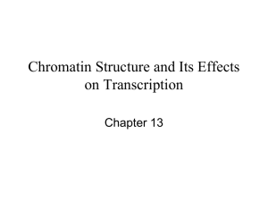 Chromatin Structure and Its Effects on Transcription