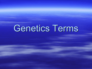 Genetics Terms