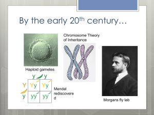 Slide 1 - ap biology