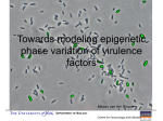 Towards modeling epigenetic phase variation of virulence factors