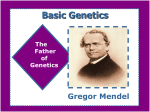 Basic Genetics - Montville.net