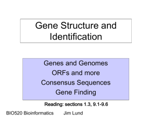 8:Genes