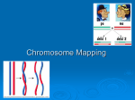 new lab 9 chromosomal map