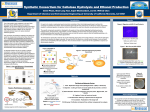 Synthetic Consordium for Cellulose Hydrolysis and Ethanol Production