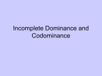 Incomplete Dominance