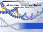 Introduction To Molecular Biology