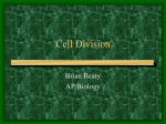 Cell Division - APBioScholars