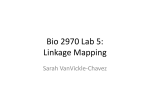Bio 2970 Lab 5: Linkage Mapping