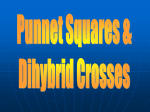 punnet squares, crosses, linked genes and pedigreesppt