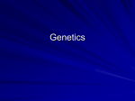 Differentiation of Cells