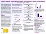 Inducing Apoptosis of Glioblastoma Multiforme Cells Using a Bcl