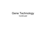 Gene Technology Continued