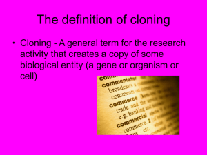 Cloning - Allegiance