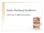 Hardy Weinberg Equilibrium